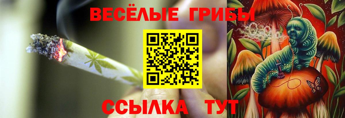 Новочеркасск  Галлюциногенные грибы прущие грибы  Вход с VPN 